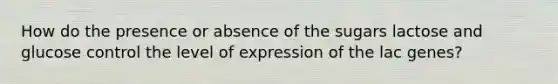 How do the presence or absence of the sugars lactose and glucose control the level of expression of the lac genes?