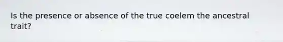 Is the presence or absence of the true coelem the ancestral trait?