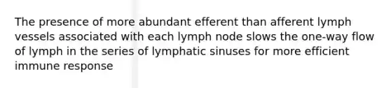 The presence of more abundant efferent than afferent lymph vessels associated with each lymph node slows the one-way flow of lymph in the series of lymphatic sinuses for more efficient immune response