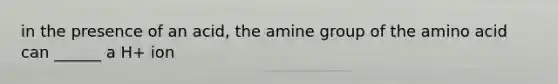 in the presence of an acid, the amine group of the amino acid can ______ a H+ ion