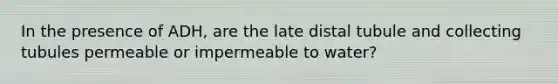 In the presence of ADH, are the late distal tubule and collecting tubules permeable or impermeable to water?