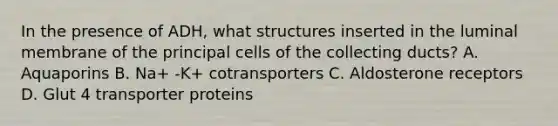 In the presence of ADH, what structures inserted in the luminal membrane of the principal cells of the collecting ducts? A. Aquaporins B. Na+ -K+ cotransporters C. Aldosterone receptors D. Glut 4 transporter proteins