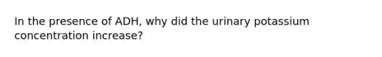 In the presence of ADH, why did the urinary potassium concentration increase?