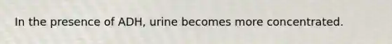 In the presence of ADH, urine becomes more concentrated.