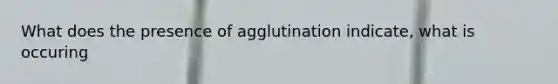 What does the presence of agglutination indicate, what is occuring