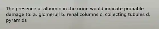 The presence of albumin in the urine would indicate probable damage to: a. glomeruli b. renal columns c. collecting tubules d. pyramids