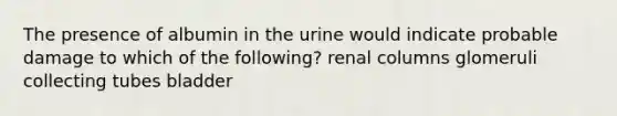 The presence of albumin in the urine would indicate probable damage to which of the following? renal columns glomeruli collecting tubes bladder