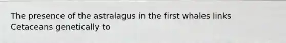 The presence of the astralagus in the first whales links Cetaceans genetically to