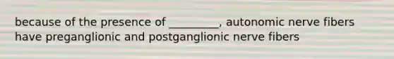 because of the presence of _________, autonomic nerve fibers have preganglionic and postganglionic nerve fibers