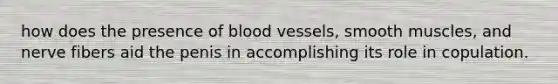 how does the presence of <a href='https://www.questionai.com/knowledge/kZJ3mNKN7P-blood-vessels' class='anchor-knowledge'>blood vessels</a>, smooth muscles, and nerve fibers aid the penis in accomplishing its role in copulation.