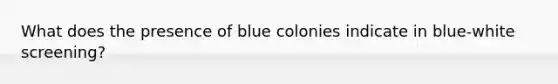 What does the presence of blue colonies indicate in blue-white screening?