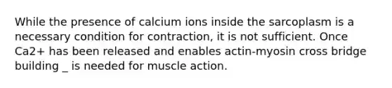 While the presence of calcium ions inside the sarcoplasm is a necessary condition for contraction, it is not sufficient. Once Ca2+ has been released and enables actin-myosin cross bridge building _ is needed for muscle action.