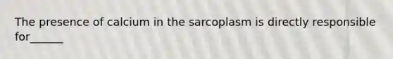 The presence of calcium in the sarcoplasm is directly responsible for______