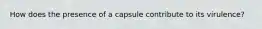 How does the presence of a capsule contribute to its virulence?