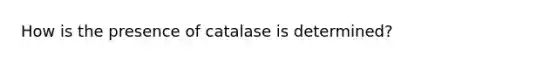 How is the presence of catalase is determined?