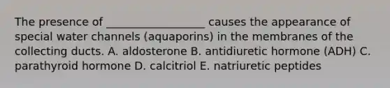 The presence of __________________ causes the appearance of special water channels (aquaporins) in the membranes of the collecting ducts. A. aldosterone B. antidiuretic hormone (ADH) C. parathyroid hormone D. calcitriol E. natriuretic peptides