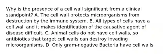 Why is the presence of a cell wall significant from a clinical standpoint? A. The cell wall protects microorganisms from destruction by the immune system. B. All types of cells have a cell wall and it makes identification of the causative agent of disease difficult. C. Animal cells do not have cell walls, so antibiotics that target cell walls can destroy invading microorganisms. D. Only gram-negative Bacteria have cell walls