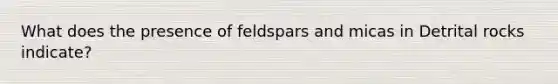 What does the presence of feldspars and micas in Detrital rocks indicate?