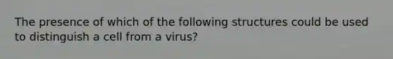 The presence of which of the following structures could be used to distinguish a cell from a virus?