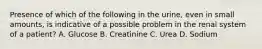 Presence of which of the following in the urine, even in small amounts, is indicative of a possible problem in the renal system of a patient? A. Glucose B. Creatinine C. Urea D. Sodium