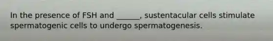 In the presence of FSH and ______, sustentacular cells stimulate spermatogenic cells to undergo spermatogenesis.