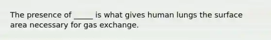 The presence of _____ is what gives human lungs the surface area necessary for gas exchange.