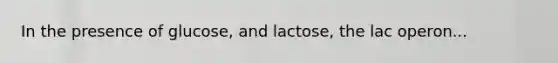 In the presence of glucose, and lactose, the lac operon...