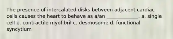 The presence of intercalated disks between adjacent cardiac cells causes the heart to behave as a/an _____________. a. single cell b. contractile myofibril c. desmosome d. functional syncytium