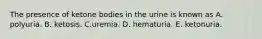 The presence of ketone bodies in the urine is known as A. polyuria. B. ketosis. C.uremia. D. hematuria. E. ketonuria.