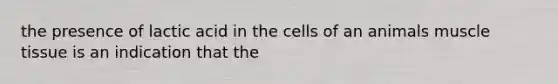 the presence of lactic acid in the cells of an animals muscle tissue is an indication that the