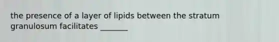 the presence of a layer of lipids between the stratum granulosum facilitates _______