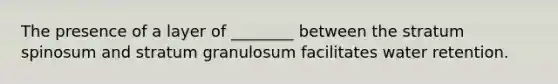 The presence of a layer of ________ between the stratum spinosum and stratum granulosum facilitates water retention.