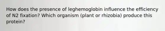 How does the presence of leghemoglobin influence the efficiency of N2 fixation? Which organism (plant or rhizobia) produce this protein?