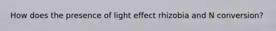 How does the presence of light effect rhizobia and N conversion?