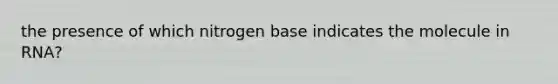 the presence of which nitrogen base indicates the molecule in RNA?