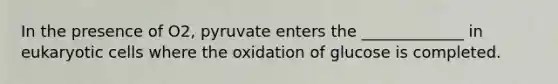 In the presence of O2, pyruvate enters the _____________ in eukaryotic cells where the oxidation of glucose is completed.