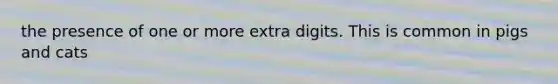 the presence of one or more extra digits. This is common in pigs and cats