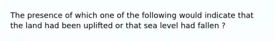 The presence of which one of the following would indicate that the land had been uplifted or that sea level had fallen ?