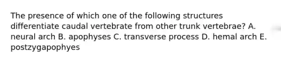 The presence of which one of the following structures differentiate caudal vertebrate from other trunk vertebrae? A. neural arch B. apophyses C. transverse process D. hemal arch E. postzygapophyes