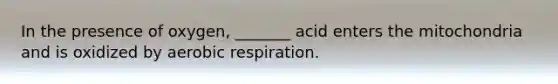 In the presence of oxygen, _______ acid enters the mitochondria and is oxidized by aerobic respiration.