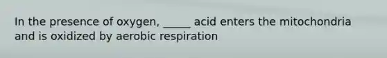 In the presence of oxygen, _____ acid enters the mitochondria and is oxidized by aerobic respiration