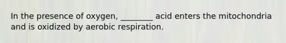 In the presence of oxygen, ________ acid enters the mitochondria and is oxidized by aerobic respiration.