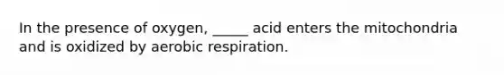 In the presence of oxygen, _____ acid enters the mitochondria and is oxidized by aerobic respiration.