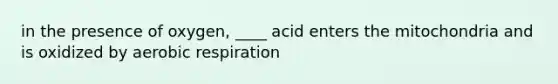 in the presence of oxygen, ____ acid enters the mitochondria and is oxidized by aerobic respiration