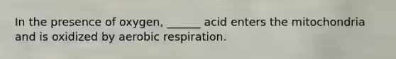 In the presence of oxygen, ______ acid enters the mitochondria and is oxidized by aerobic respiration.