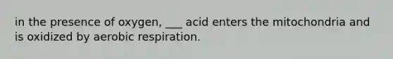 in the presence of oxygen, ___ acid enters the mitochondria and is oxidized by aerobic respiration.