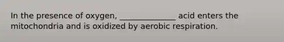 In the presence of oxygen, ______________ acid enters the mitochondria and is oxidized by aerobic respiration.