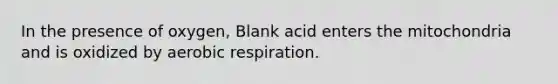 In the presence of oxygen, Blank acid enters the mitochondria and is oxidized by aerobic respiration.