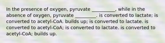 In the presence of oxygen, pyruvate __________, while in the absence of oxygen, pyruvate _________. is converted to lactate; is converted to acetyl-CoA. builds up; is converted to lactate. is converted to acetyl-CoA; is converted to lactate. is converted to acetyl-CoA; builds up.