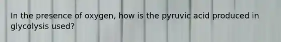 In the presence of oxygen, how is the pyruvic acid produced in glycolysis used?